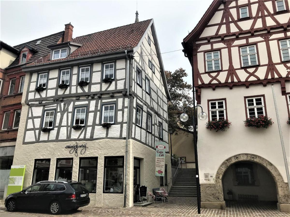 Ferienwohnung Rahel Мюнзинген Экстерьер фото